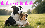 乐乐小动物乐园