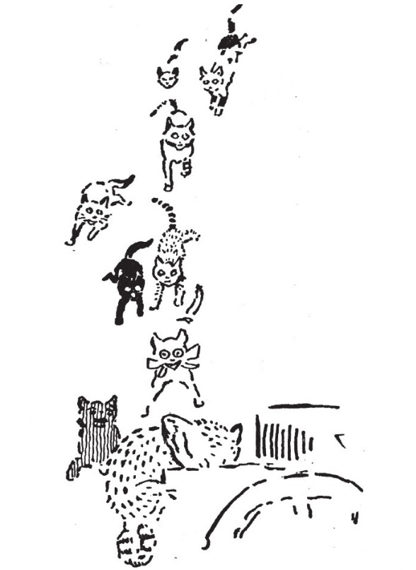 无标题.jpg